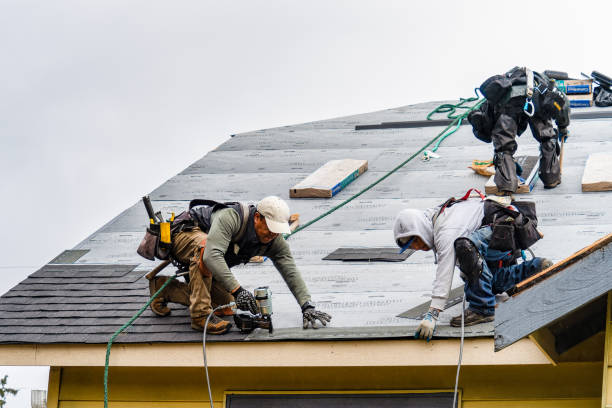 Professional Gutter Installation technician working in Mackville, KY